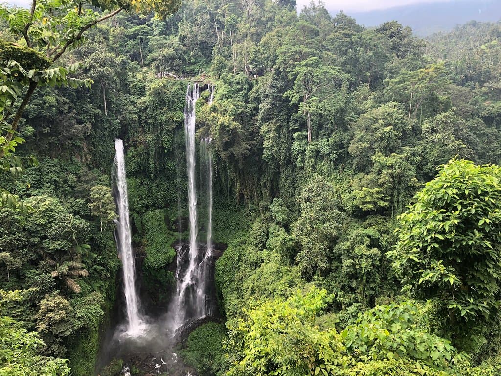 Sekumpul Waterfalls