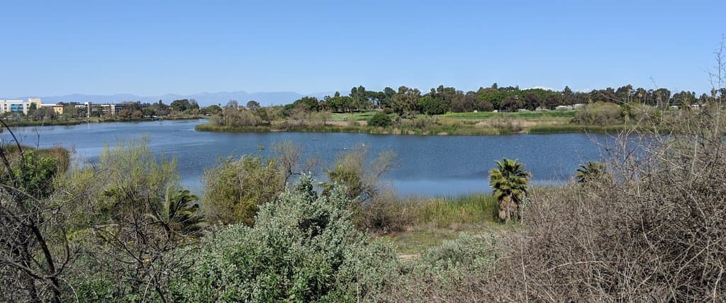 A view of Machado Lake at the park