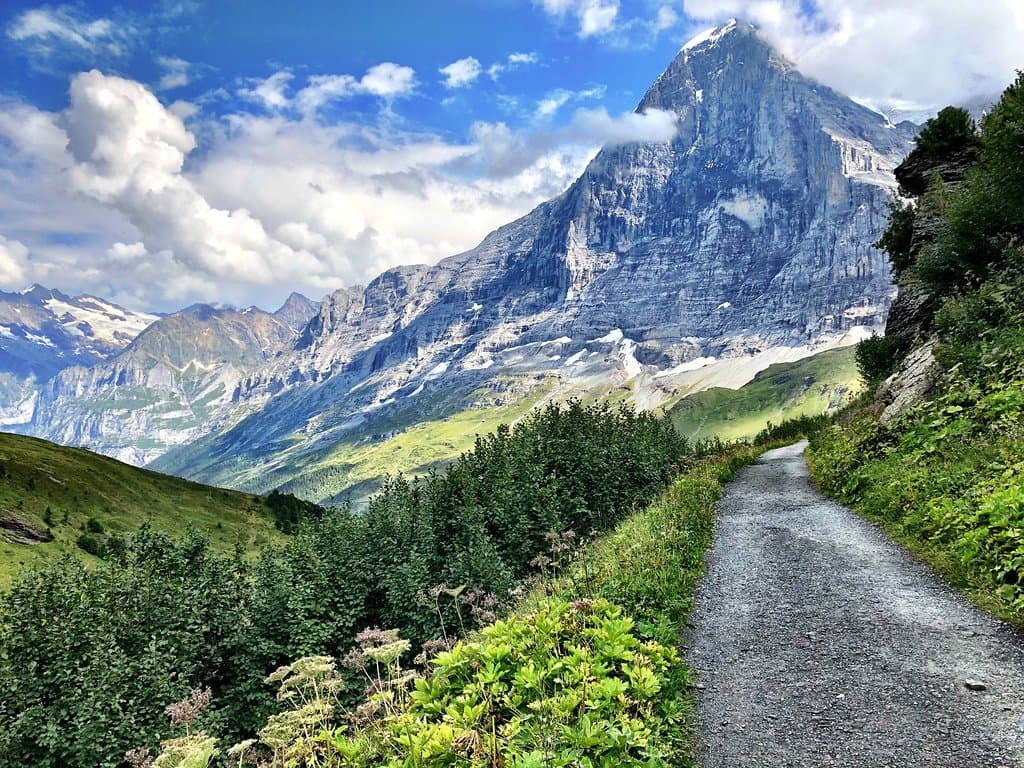 Along the trail...