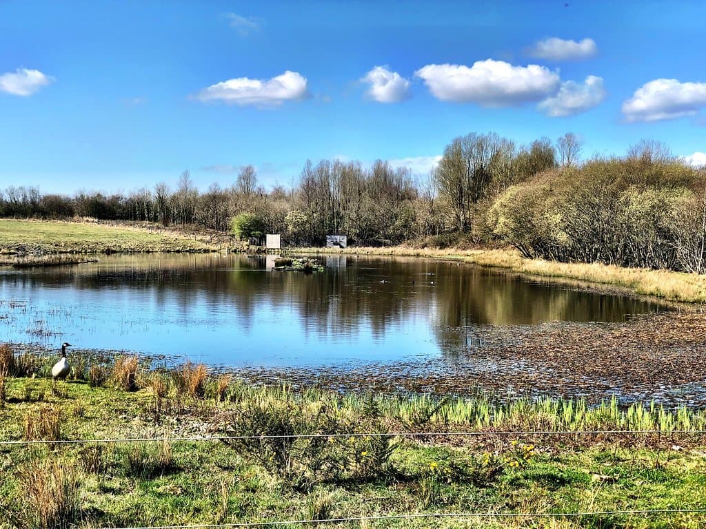 Parc Slip Nature Reserve