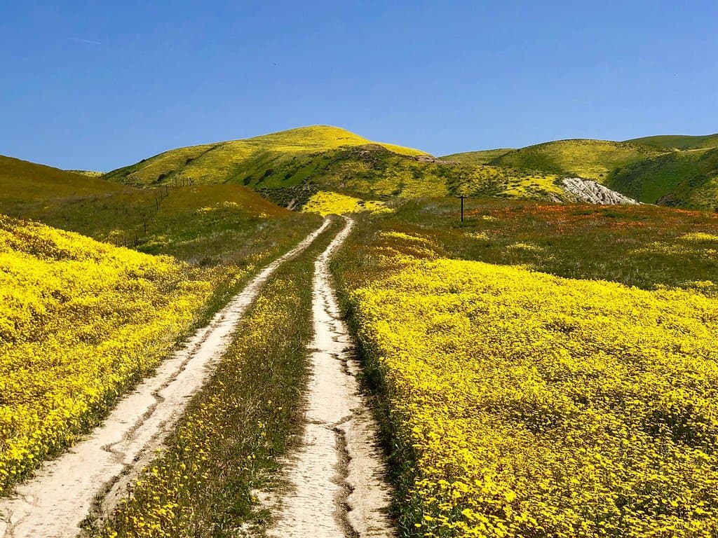 Carrizo Plain National Monument