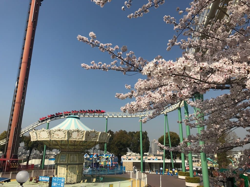 2019.3.26