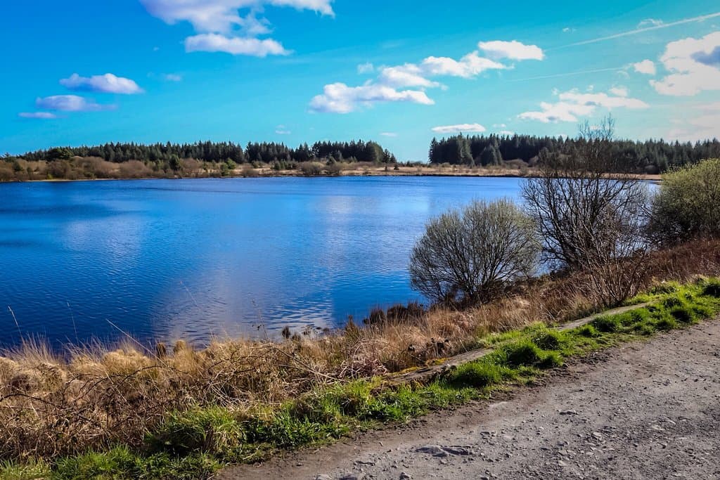 Llyn Llech Owain Country Park