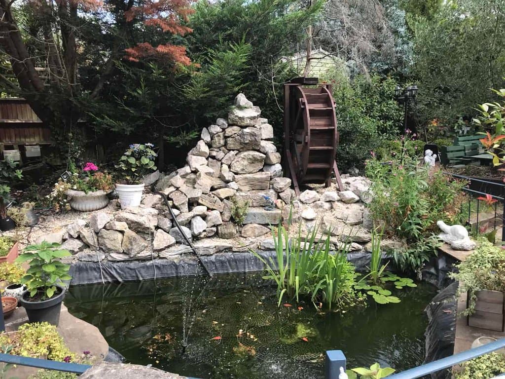 Our Garden side