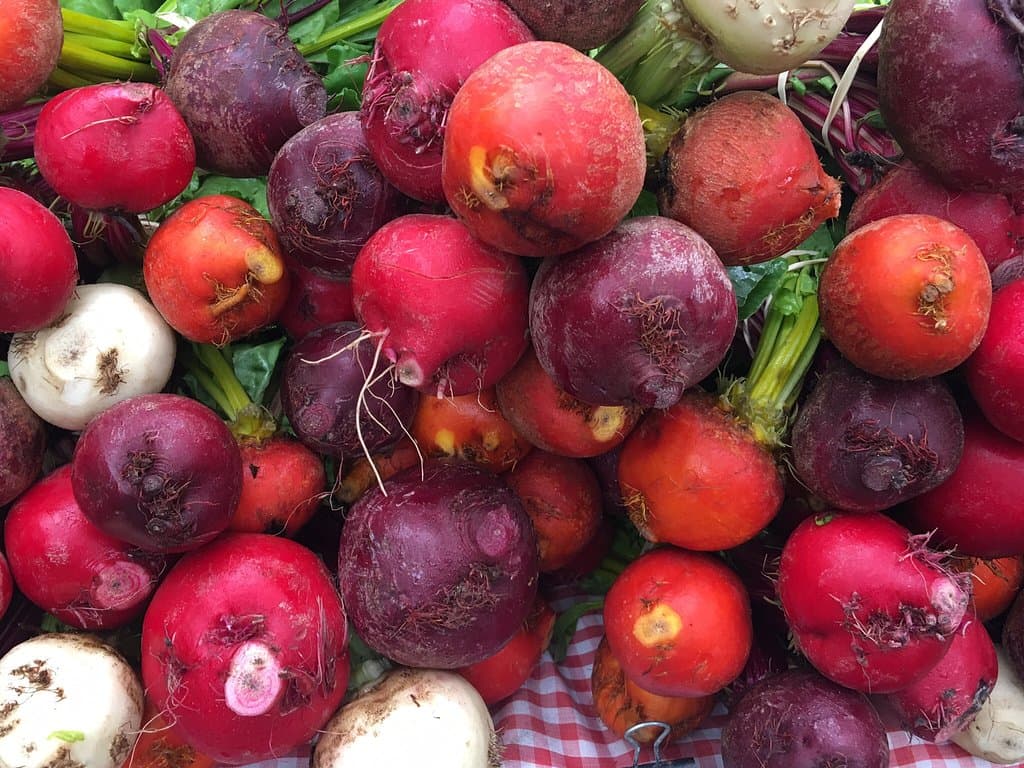 Alachua County Farmers Market