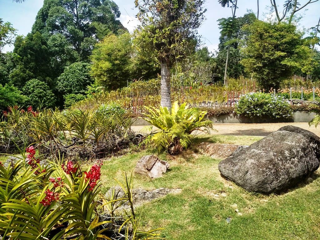 At the garden
