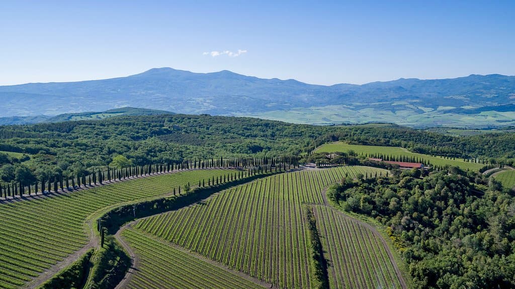 Poggio Antico Vineyards