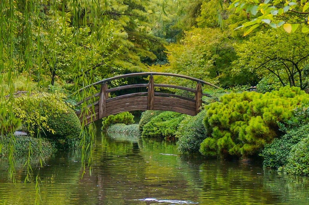 The Moon Bridge in summer.