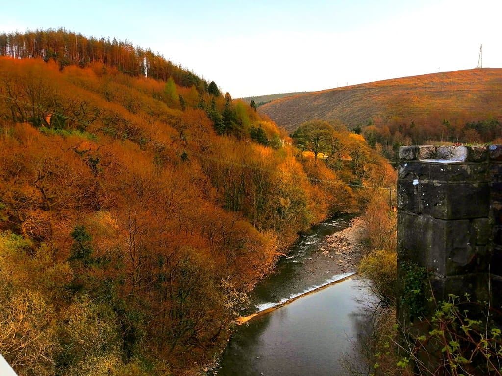 Afan Forest Park