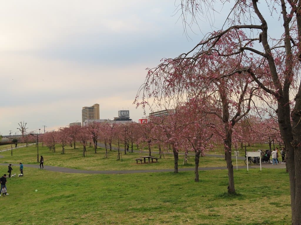 Ogu Chuo Park