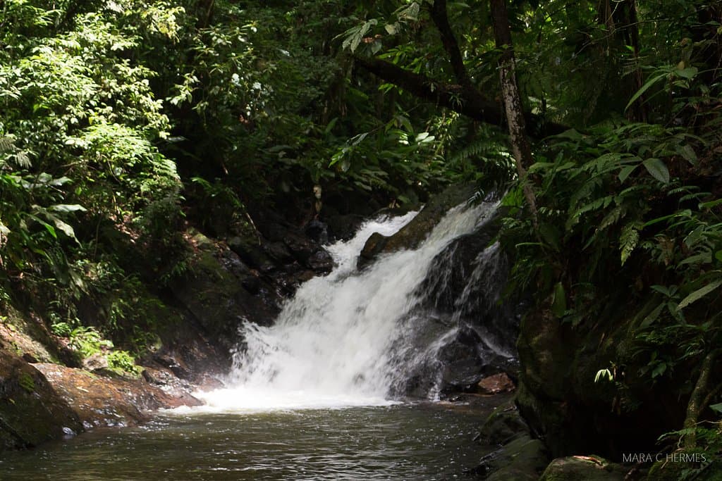 Uma pequena cachoeira dentro do parque. 