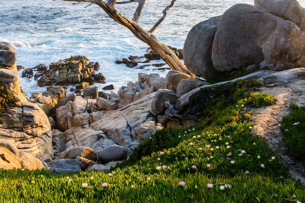 View at Pescadero Point