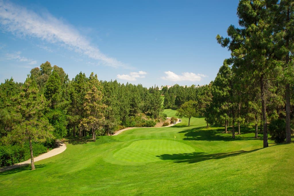 8TH HOLE