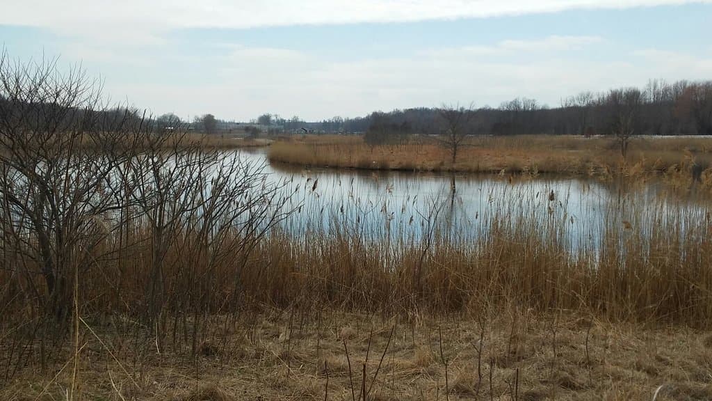 Striebel Pond