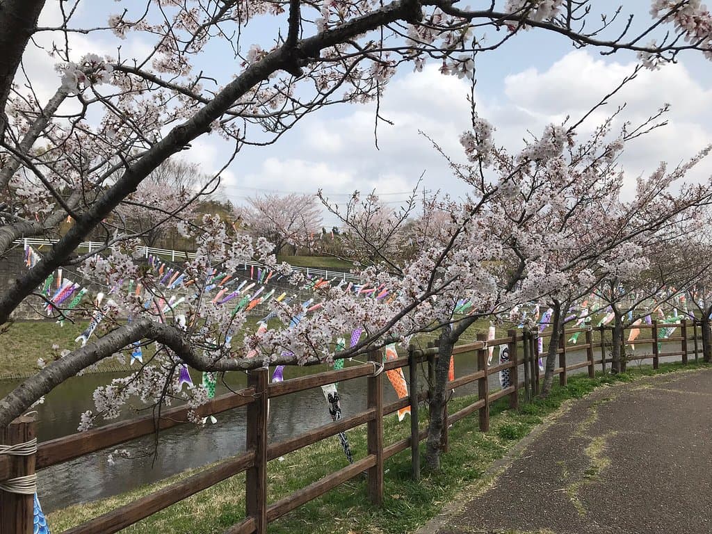 Kozunomori Park