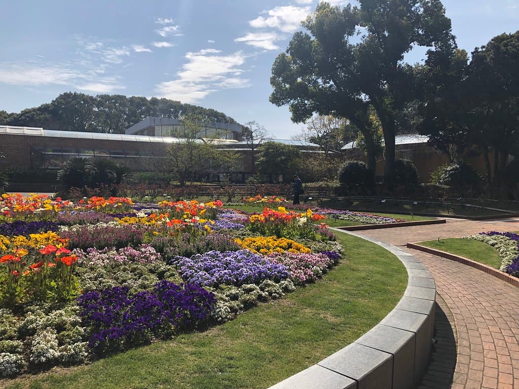 Flowers are very beautiful no matter when you will visit the park