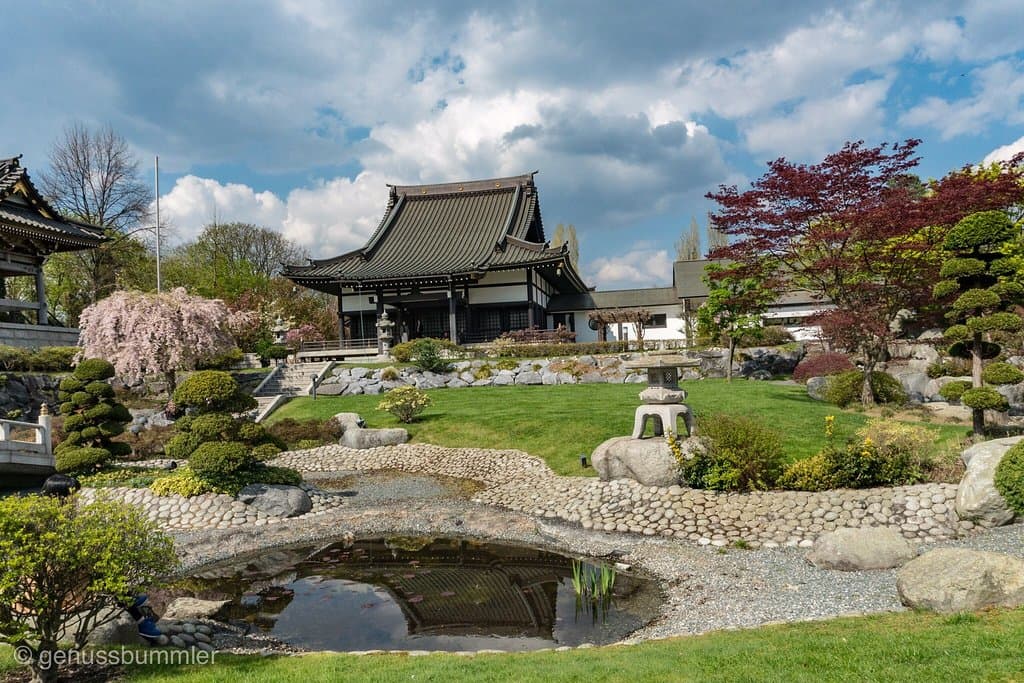 Ein traumhafter Ort der Ruhe und Entspannung. Ein Stück Japan mitten in Düsseldorf
