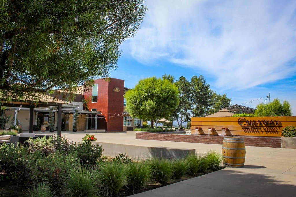 Temecula Valley's first commercial winery. Approachable, flavorful and extremely well-balanced wines are synonymous with the Callaway name. The time honored, Callaway tradition of using unusually cold temperatures during fermentation to slow and prolong the process, allows our wines to retain their natural fruit flavors and aromas. Wines made to be enjoyed. From our vineyards to your table. 