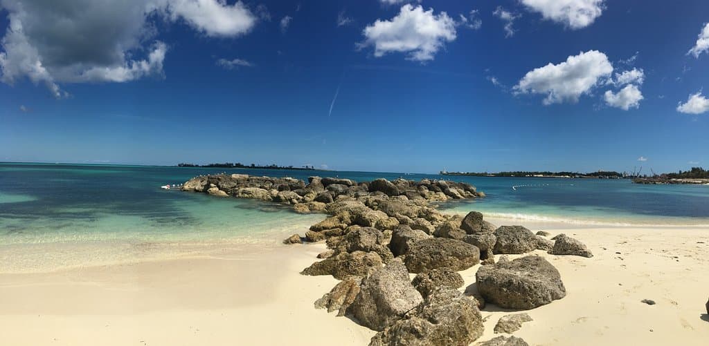 I bet there would be some neat things near the rocks if you snorkeled there.  We saw one small trumpeter fish while we waded.