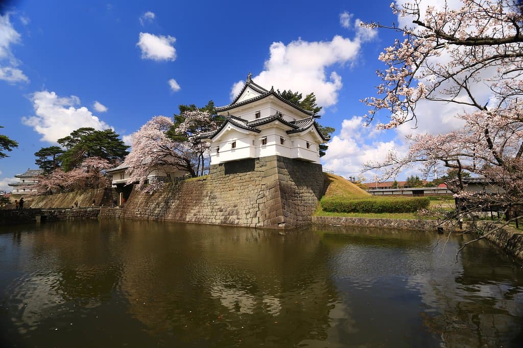 素敵な桜とお城のポイント