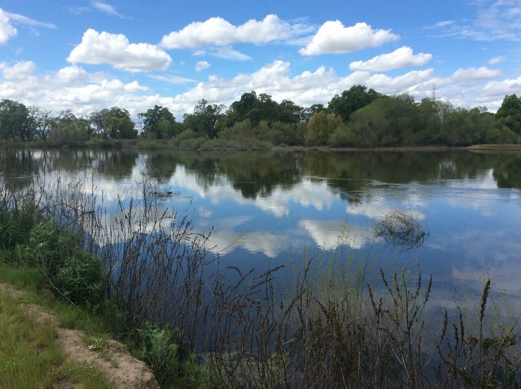 San Joaquin River spring time 