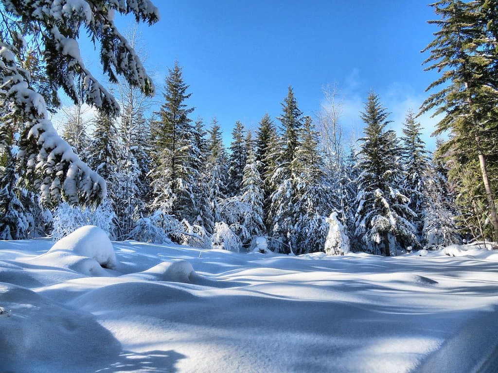 Larch Hills Cross Country Ski Area