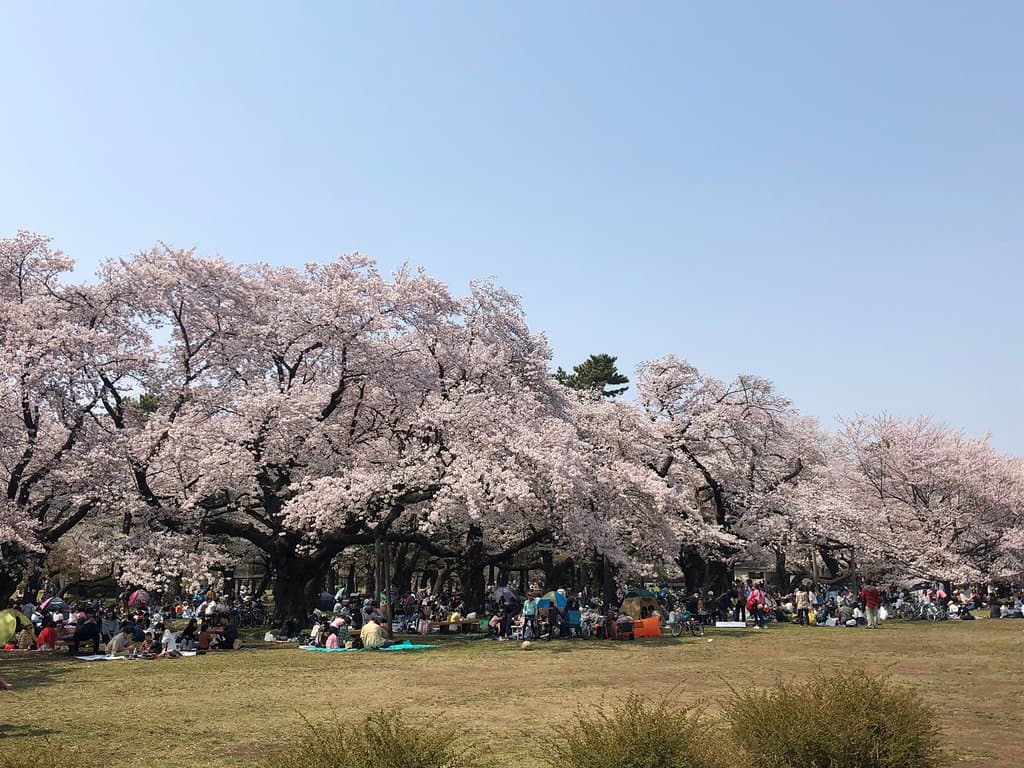 Koganei Park Tokyo