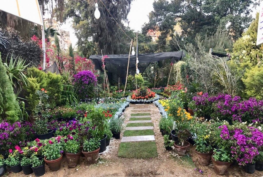 منتزه أورمان