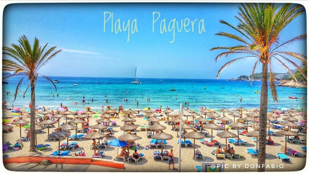 Sombrillas de carritx en playas de Paguera . Sombrillas de playa echas a mano artesanalmente , carritx , Brezo , caña , mimbre , porches , pérgolas , chiringuitos . Telf : 607 627 775 SombrillasBalear.com