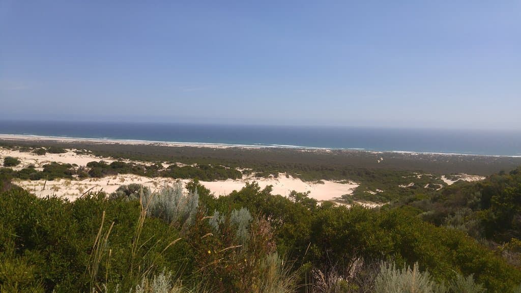 Yeagarup Dune, Jan 2019