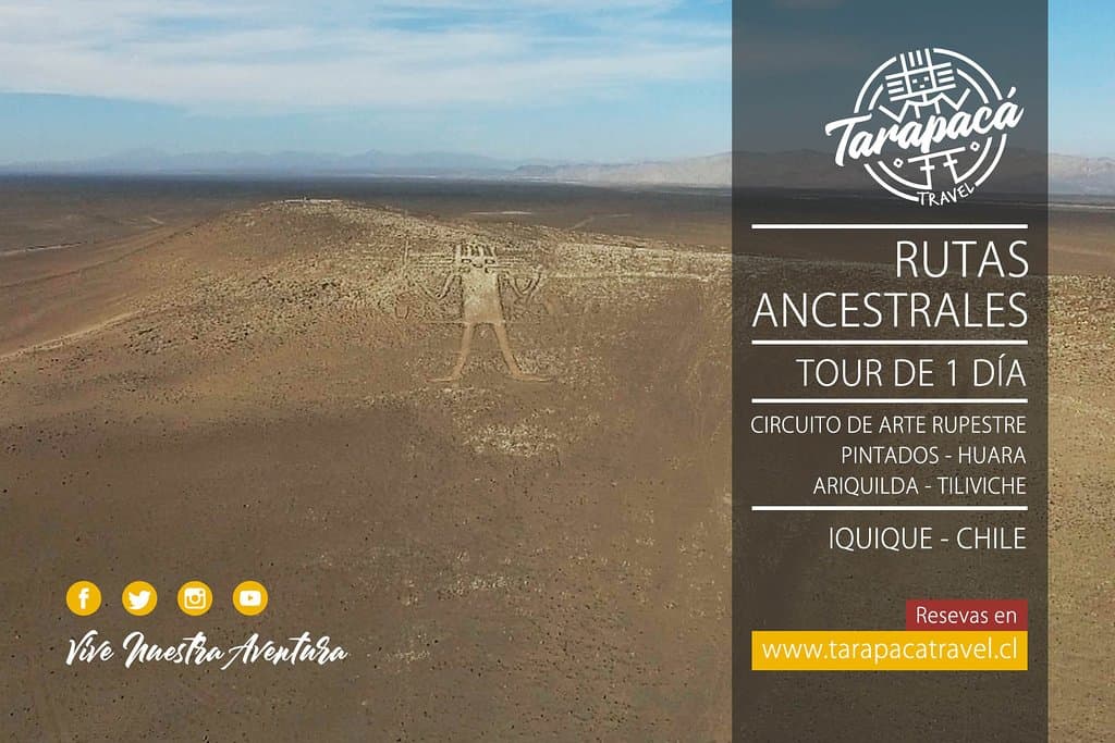 Gigante de Atacama