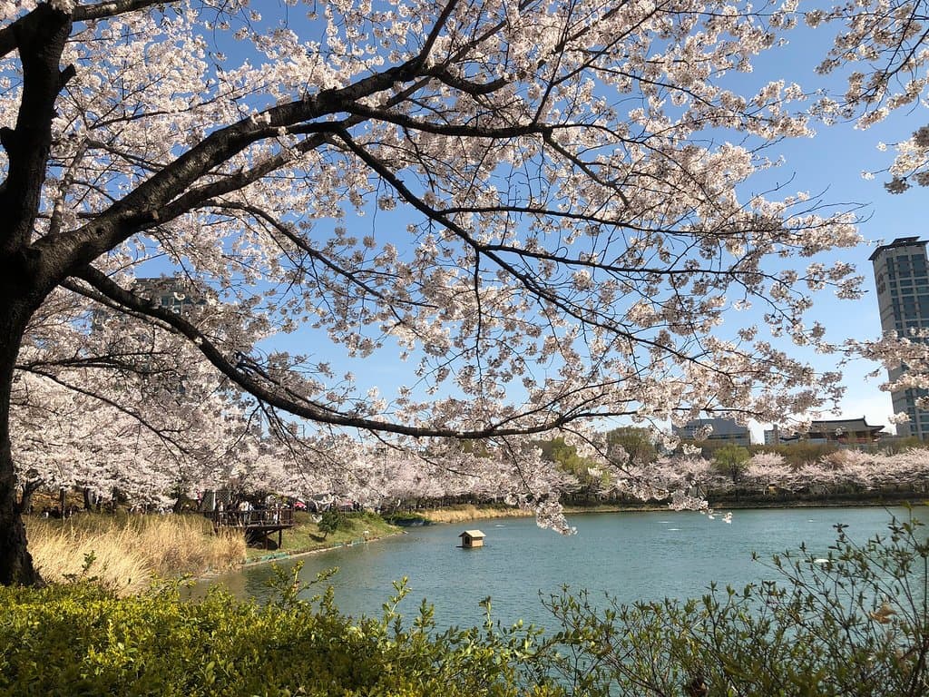 Stroll around Seokchon Lake Park