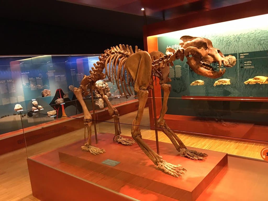 Interno del museo