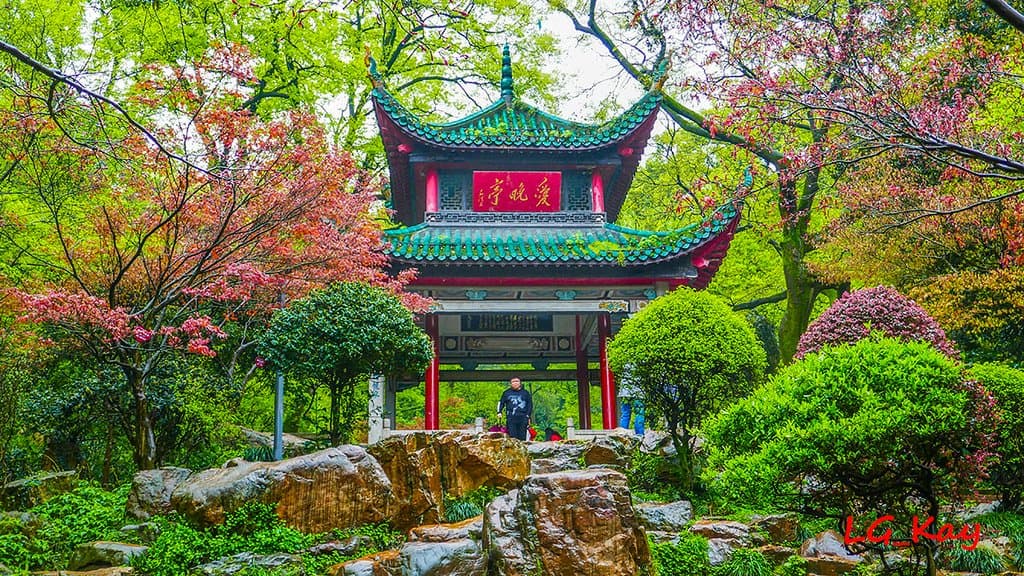 Beautiful surrounding pond