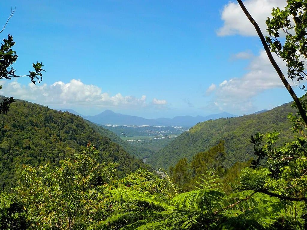 Wrights Lookout