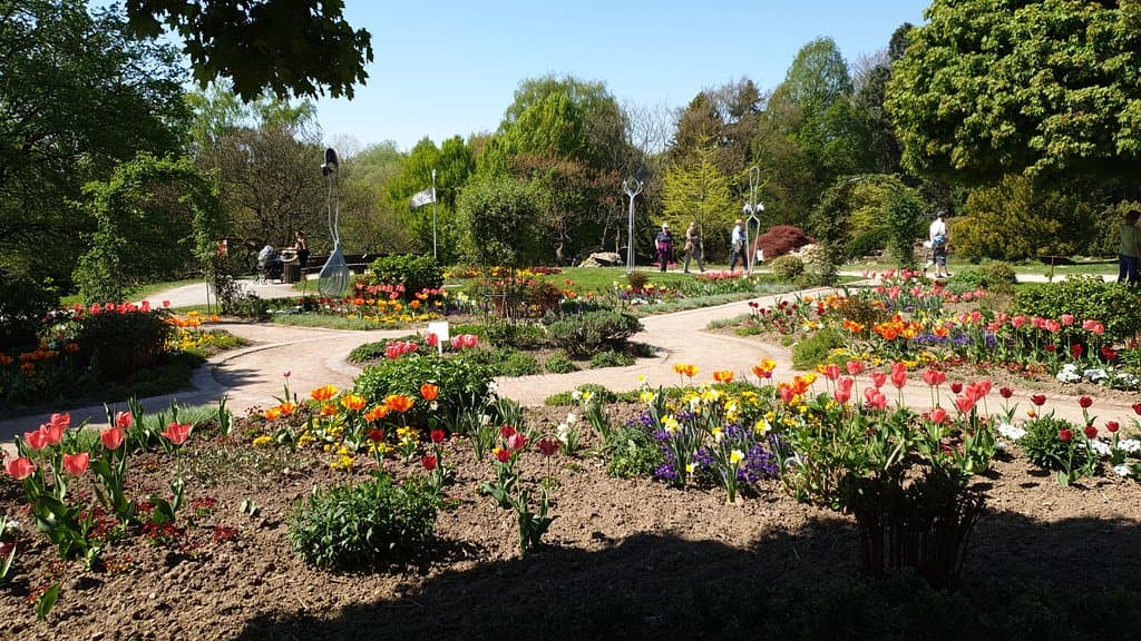 Botanischer Garten Solingen