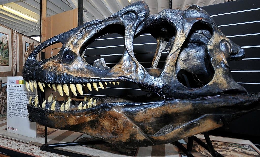 Dinostar's Allosaurus skull