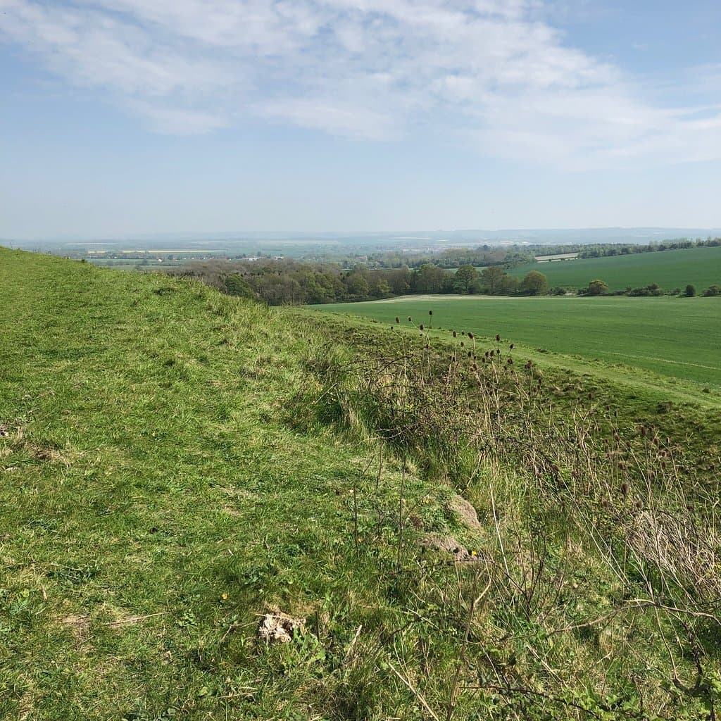 Wittenham Clumps