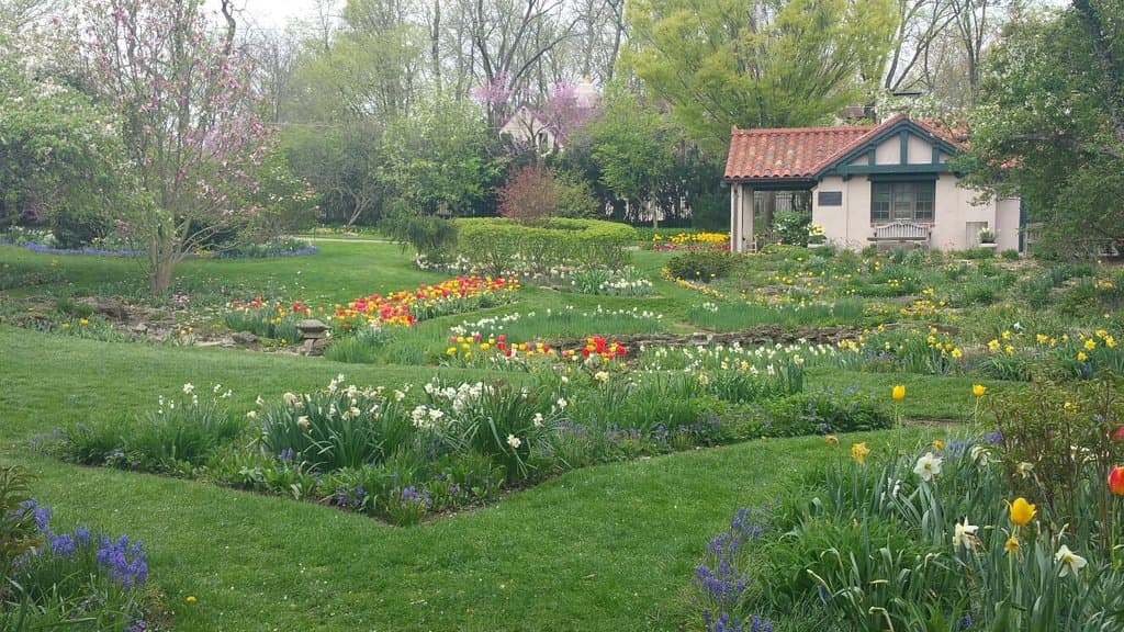 Beautiful Display at Spring Peak - Come Soon