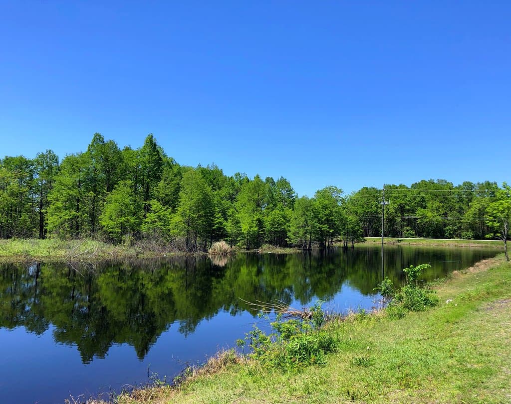 Sheldon Lake