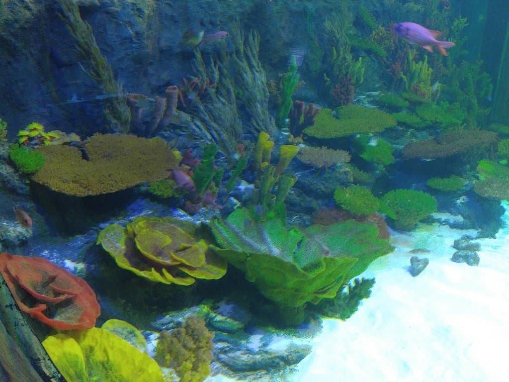 사진에 대해 좀 더 자세하게 알려주세요.PLAY AQUARIUM BUCHEON