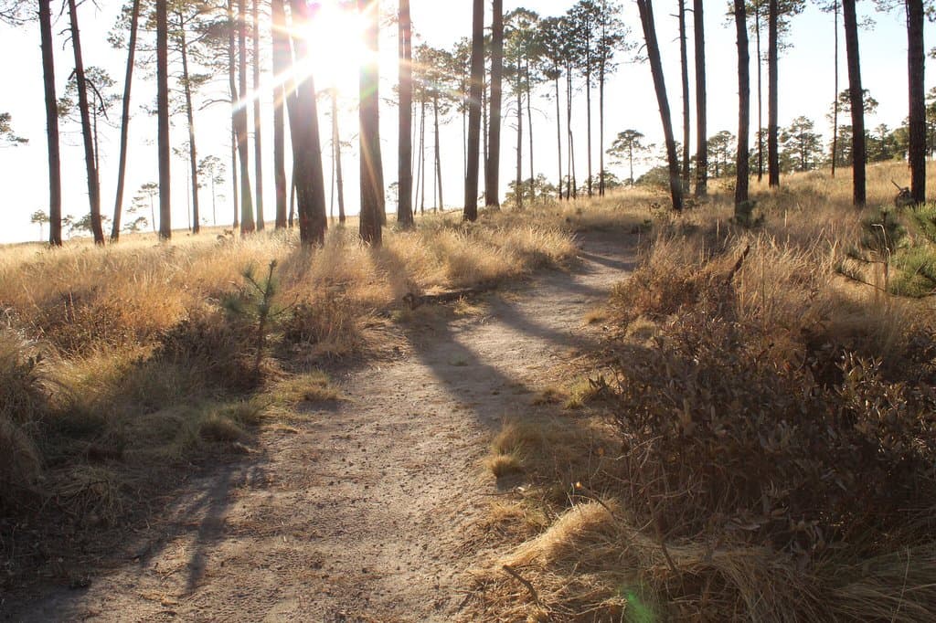 El Tecuán Ecological Park