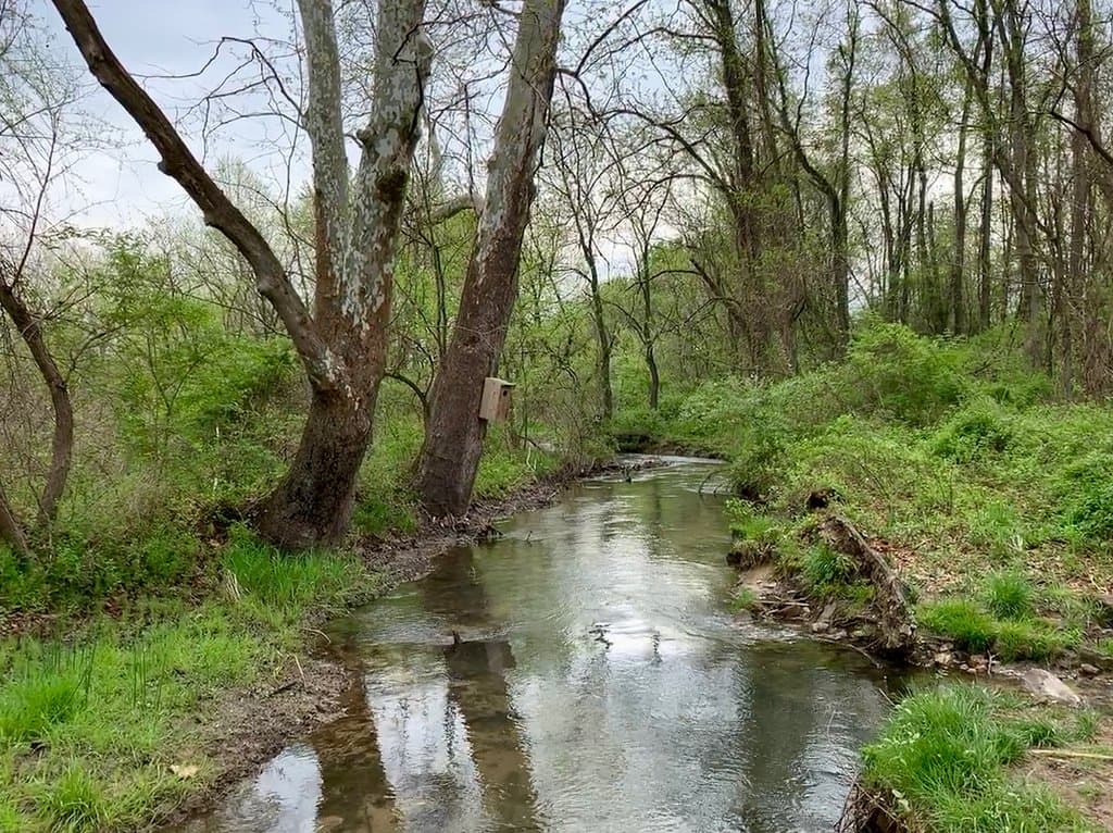 Cool Spring Preserve