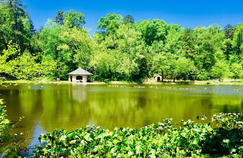 Forest Hill Park