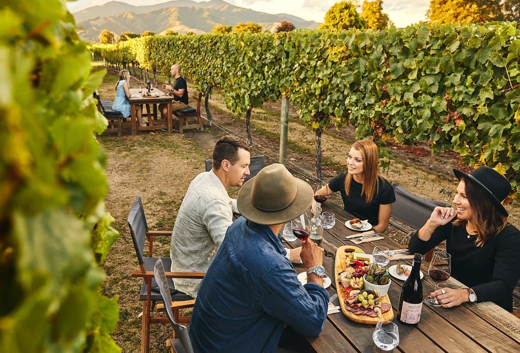 Unique vineyard setting - dining in the vines at its best!