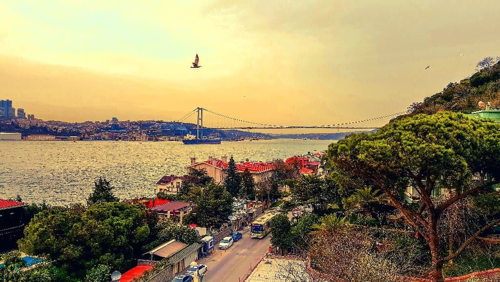 FETHİPAŞA KORUSU (Paşalimanı / Üsküdar)