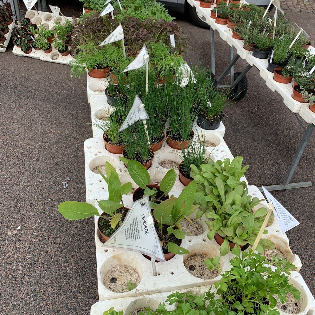 Ingerslev Boulevard Market