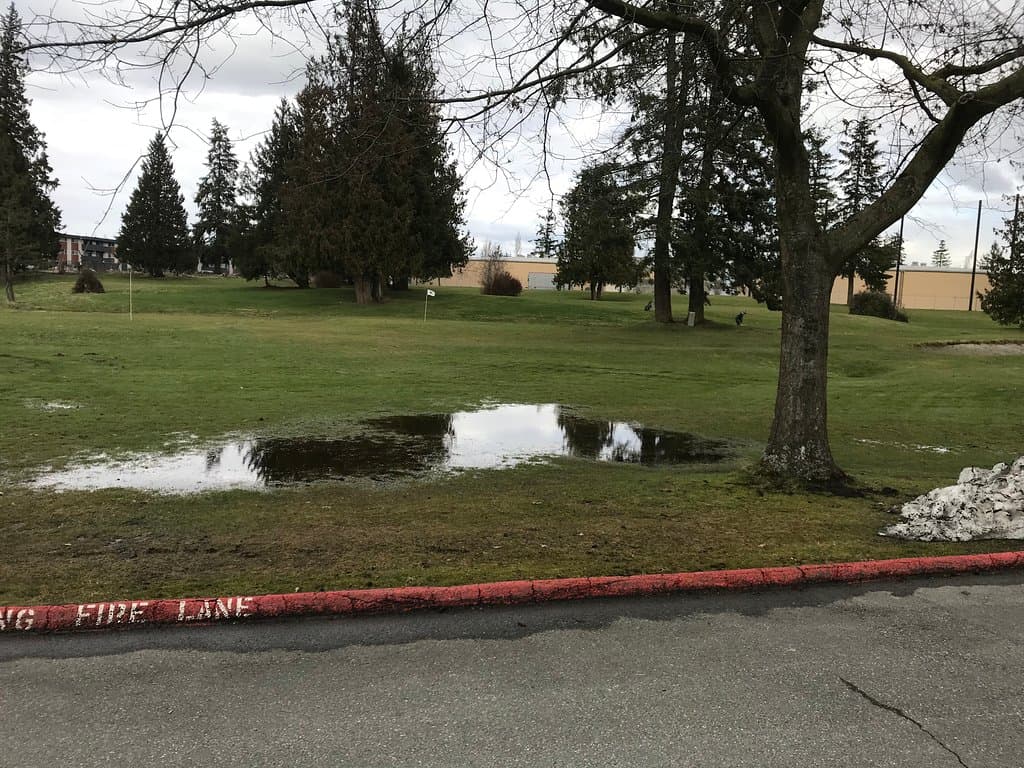 Free chipping and putting area as one approaches