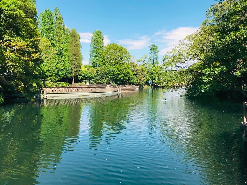 View of the park lake