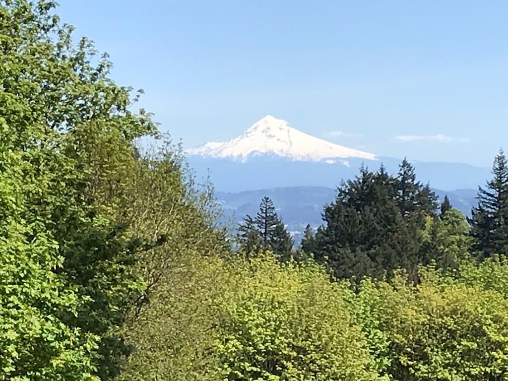 Council Crest Park